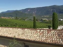 HD Tramin and the Surrounding Vineyards Stock Footage