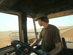 Harvesting winter wheat Stock Footage
