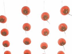 Chinese New Year lantern decorations. Stock Footage