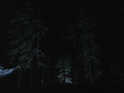 WS SLO MO Snowmobile jumping in snow covered forest / Mammoth Lakes, California, USA Stock Footage