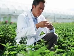 CU TU Scientist testing a soil sample at a greenhouse / Salem, Utah, USA. Stock Footage