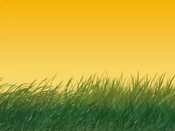 Wind in Grass (foreground) HD1080, NTSC Stock Footage