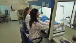 Naples drug lab working on possible Ebola vaccine News Clip