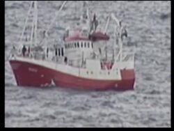 Japan wins first victory in efforts to end whaling ban News Clip