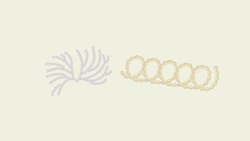 TED-ED: How to spot a counterfeit bill - Tien Nguyen Instructional Video