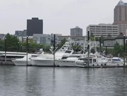 WS PAN Shot of Rain falls on water in marina in front of city / Portland, Oregon, United States  Stock Footage