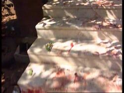 West Bank/Israel - Hamas Members Shot News Clip