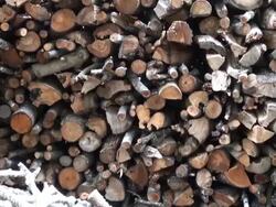 Woodstack Background Stock Footage