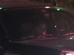 Cy Waits at The Agency in Hollywood, CA on 1/24/2012 (Footage by WireImage Video/Getty Images Entertainment Video) Stock Footage