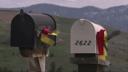 Candlelight vigil for German exchange student gunned down in homeowner's garage News Clip