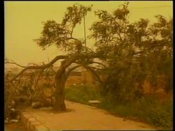 Lebanon - Sandstorm causes severe weather News Clip