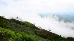 Mountain, street Mist./Park Phu Thap Boek, Phetchabun Province, Thailand, the rainy season. Stock Footage