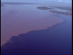 WA Aerial view of Amazon and Negra rivers meeting, Amazon Stock Footage