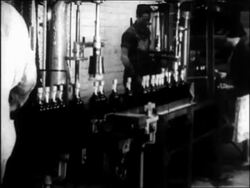 B/W 1933 line of bottles of liquor/beer on conveyor + workers in distillery / repeal of Prohibition Stock Footage