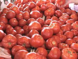 Farmers' Market Produce Stock Footage