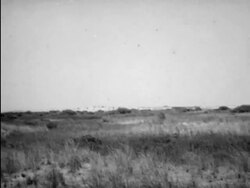 Wright brothers' first successful flight at Kitty Hawk Stock Footage