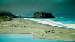 Goat Rock Beach - T/L Stock Footage