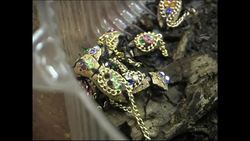 Live jewel encrusted beetle jewellery Instructional Video