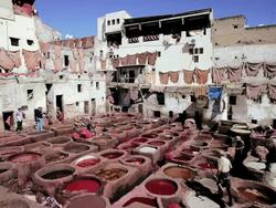 WS Chouwara traditional leather tannery in Old Fez, vats for tanning and dyeing leather hides and skins / FEZ, Morocco Stock Footage