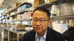 Company Approved to Test Zika Vaccine on Humans News Clip