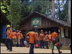 Brazil's efforts to cut illegal logging News Clip