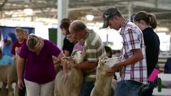 Iowa State Fair: Annual Midwestern Summer Rite Stock Footage