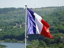 MS Shot of Forest behind French flag / Sierck les Bains, Lorraine, France Stock Footage