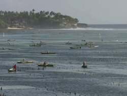 WS Seaweed farming in sea / Nusa Lembongan, Klungkung, Indonesia Stock Footage