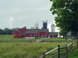Connecticut Dairy Farm day Stock Footage