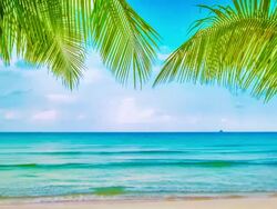 Beaty beach Stock Footage