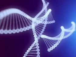 Animated DNA chain. Stock Footage
