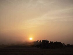 Process of Wheat Harvesting Stock Footage
