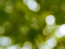 Green bokeh background Stock Footage