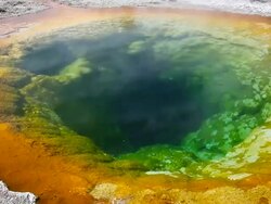 MS Morning Glory Pool at Upper Geyser Basin in Yellowstone National Park / Wyoming, United States Stock Footage