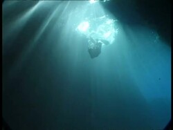 Snorkler swimming in sunbeams through water, MS, Tonga Stock Footage
