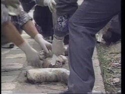 COLOMBIA: AUTHORITIES TO INVESTIGATE DEATH OF ALEJANDRO BARBOSA News Clip