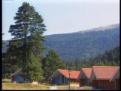 ALBANIA: POTENTIAL FOR TOURISM ON UNDEVELOPED COASTAL REGION News Clip