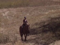 Medium long lens, camera pans with Karen riding through pasture. Karen turns horse and rides towards camera into close shot Stock Footage