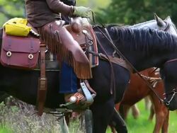 Cowgirls on horseback Stock Footage