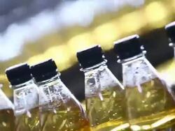 MACRO Soft drink bottling line Stock Footage