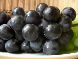 Grape Stock Footage