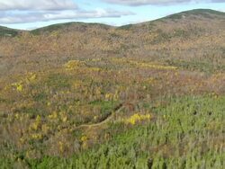 WS ARIEAL View of Forest with peak / Maine, United States Stock Footage