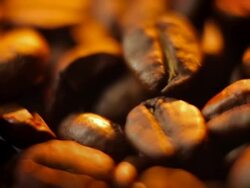 Coffee beans Stock Footage