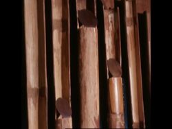 RR7509B GERMANY A MUSICAL INTERLUDE News Clip