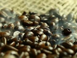 fried coffee beans Stock Footage