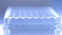 Scientist transfer mix small volume liquids within 96 well dishes, Slow motion Stock Footage