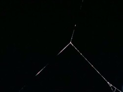 MS T/L Garden Spider, Araneus diadematus, spins orb web Stock Footage