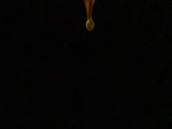 High Speed - CU Seed spinning down through frame, black background Stock Footage