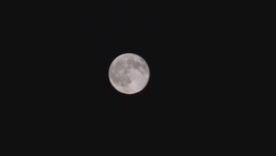 Full Moon Stock Footage