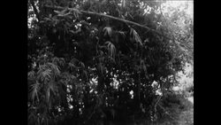 CAN586 DA NANG - MARINE SEARCH OPERATION Instructional Video